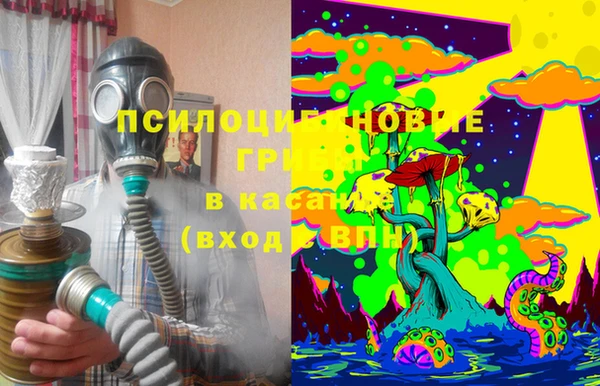 прущая мука Аркадак