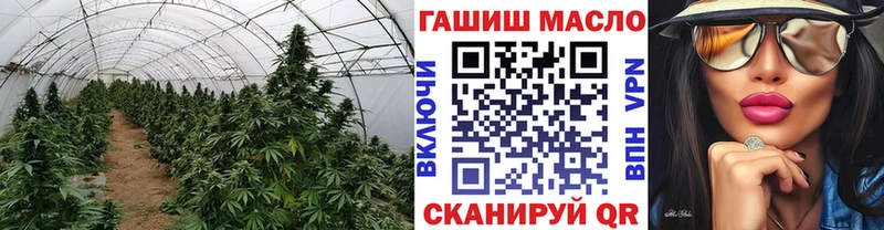 Дистиллят ТГК гашишное масло  где продают   Поронайск 