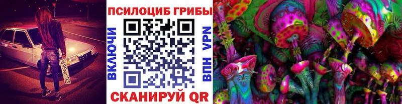 omg зеркало  Поронайск  Псилоцибиновые грибы GOLDEN TEACHER 